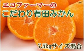 エコファーマーのこだわり有田みかん7.5kg（サイズ混合）★2025年11月中旬頃より順次発送 	BZ058