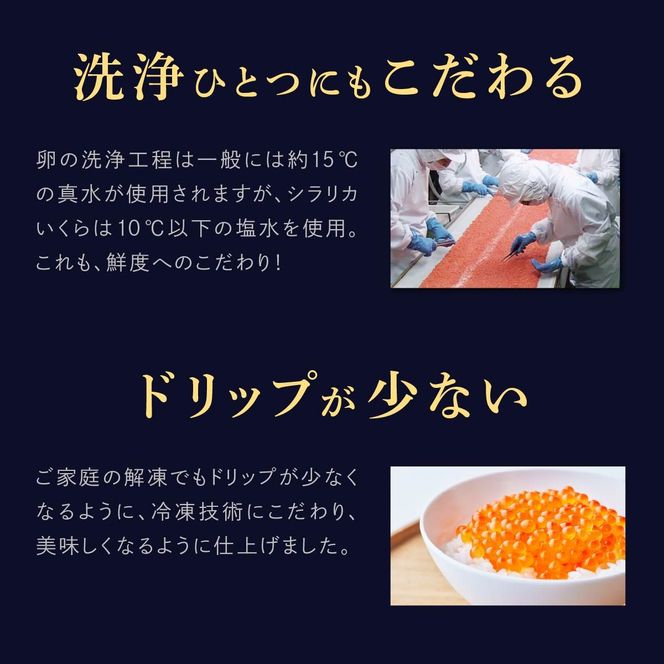 シラリカいくら（醤油味）定期便 【1kg（250g×4）×2回／3回／4回／6回】