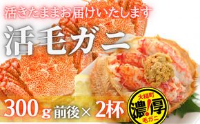 【期間限定3月～4月発送】三陸産活毛ガニ300g×2杯(2尾)【0tsuchi00937】【05】