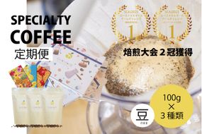 定期便 6回 【日本一の焙煎士厳選】珈琲 豆 100g×3種 スペシャルティコーヒー 飲み比べ [日向珈琲 宮崎県 日向市 452060430] コーヒー 焙煎 自家焙煎 詰め合わせ