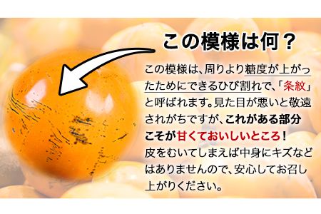 『緑伸園』の大玉 夕焼け太秋柿 約2.5kg 4-7玉前後 《11月下旬-12月中旬頃出荷》 予約受付中 フルーツ 秋 旬 柿 ★大きく綺麗な秋の夕日のような色と形★---sg_crykkaki_h11_24_14000_2500g---