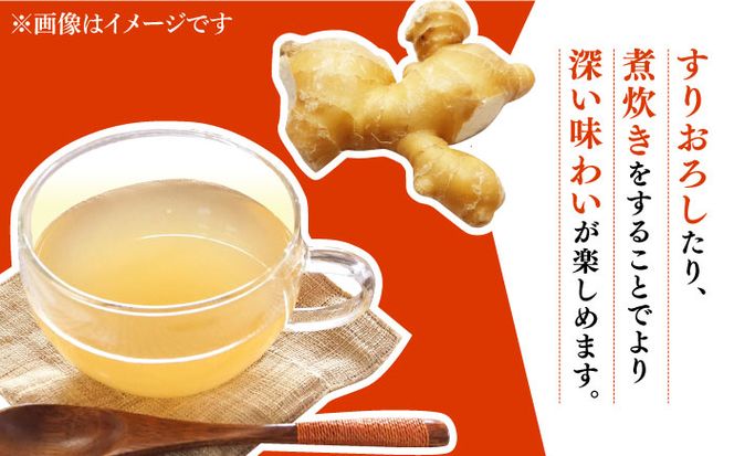 【2026年1月末〜順次発送】囲い生姜 約 3kg / ショウガ 南島原市 / ふくはちファーム [SBS011]