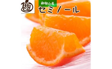 厳選 セミノールオレンジ 4kg+120g(傷み補償分)有田産[2024年4月より発送]BB90037