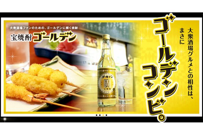 BE173宝焼酎「ゴールデン」25度 600ml✕12本入