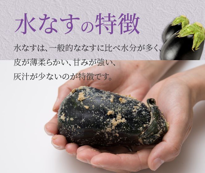 099H3539 【先行予約】特選水なす浅漬け 11個入り【新鮮 野菜 泉佐野産 茄子 やさい 高評価 数量限定】
