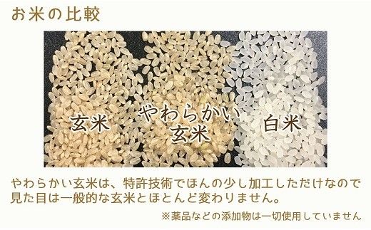 やわらかい玄米 北海道産ゆめぴりか 900g×4袋 小分け 米 こめ コメ ごはん 栄養豊富 簡単 便利 美容 健康 新食感 もちもち　安心安全なヤマトライス　H074-683