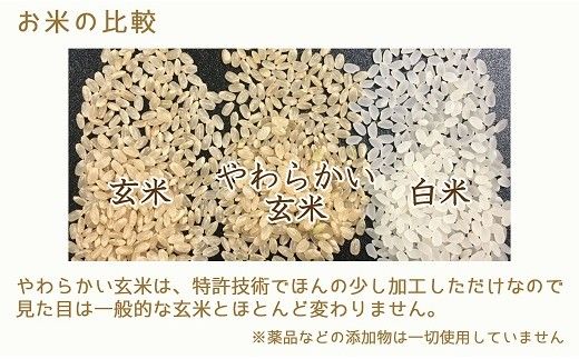 やわらかい玄米 1.8kg(900g×2袋) ※12回定期便 安心安全なヤマトライス H074-535