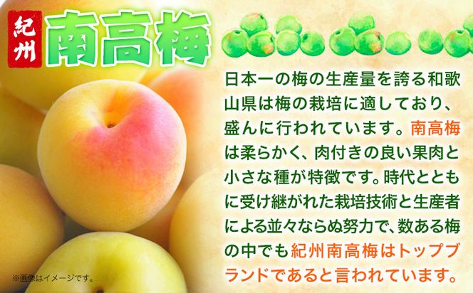 梅干し 甘口田舎梅干し 1kg 選べる 中玉 2L 大玉 3L 和歌山県産 株式会社とち亀物産 《30日以内に出荷予定(土日祝除く)》 和歌山県 日高町 梅 うめ 梅干し うめぼし 紀州南高梅 漬け物 漬物 ごはんのお供---wsh_ttk4_30d_23_15000_a2l---