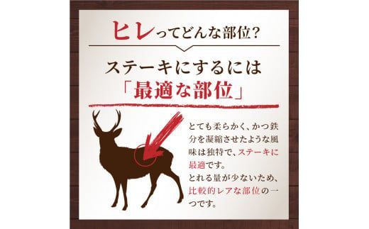 北見エゾシカ 熟成ドライエイジング ヒレステーキ肉 ( 肉 鹿肉 鹿 ヒレ肉 カット ステーキ ジビエ エゾシカ BBQ バーベキュー )【025-0018】
