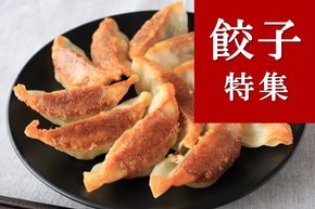 ふるさと納税で人気の「餃子」特集！