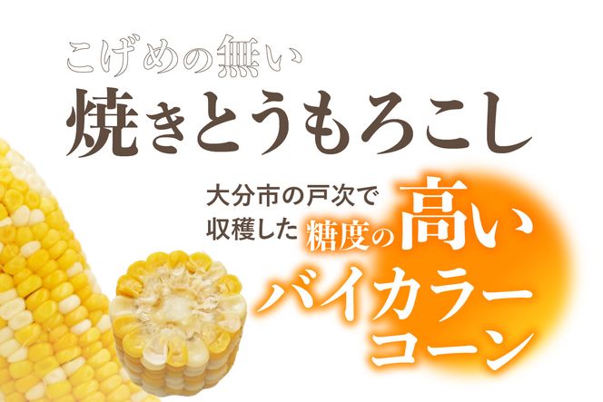 【F08001】 焼きの食感 こげめの無い焼きとうもろこし