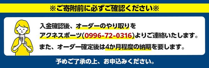 ＜軟式＞Wilson 軟式フルオーダーグローブ(一式) 阿久根市 特産品 スポーツ グラブ オーダー 野球 職人 オーダーメイド 子ども【アクネスポーツ】a-170-5