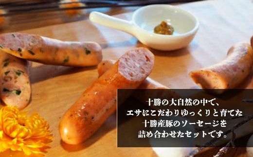 十勝の3種ソーセージセット SKD001