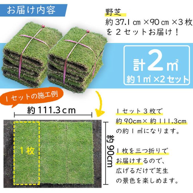 天然芝＜野芝＞2平米! a1-110