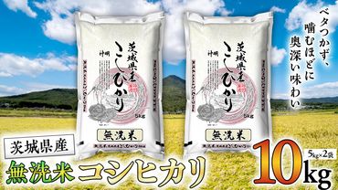 令和5年産 無洗米 茨城 こしひかり 10kg(無洗米5kg×2本) 無洗米 国産 お米 米 コメ 白米 ライス ご飯 おいしい コシヒカリ ごはん [DA02-NT]