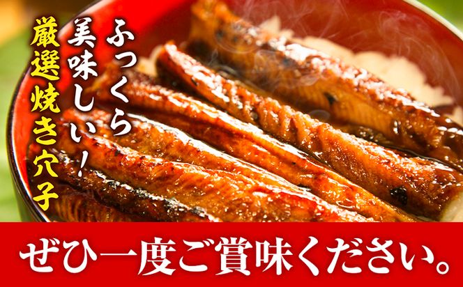 焼き穴子 約800g 笠岡魚市場《45日以内に出荷予定(土日祝除く)》岡山県 笠岡市 穴子 海鮮 魚 お魚---B-04---