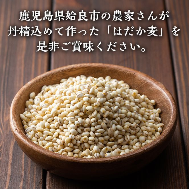 a767 《数量限定・定期便全3回》姶良市産はだか麦(計12kg・400g×10袋×3回)【竹之内穀類産業】