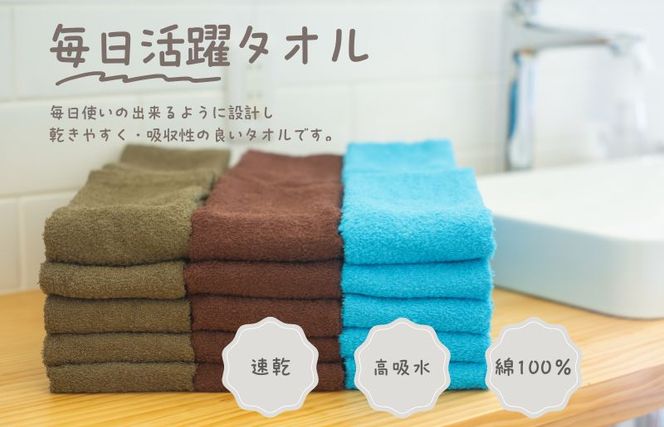 099H2374 カラーフェイスタオル 10枚 ブラウン【泉州タオル 国産 吸水 普段使い シンプル 日用品 家族 ファミリー】