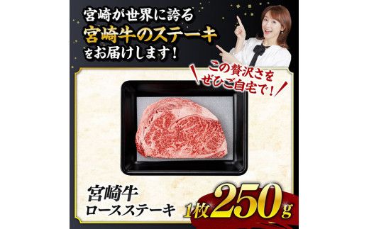 《数量限定》宮崎牛ロースステーキ1枚 (250g) 肉 牛肉 宮崎県産 黒毛和牛 [D0601]