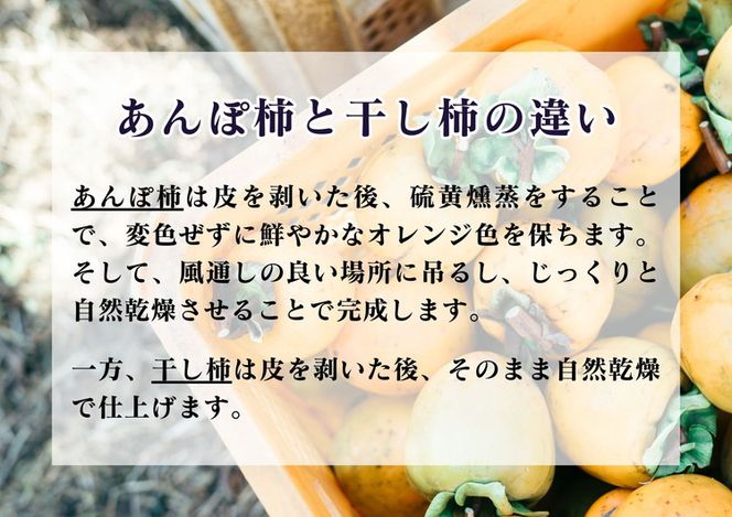 【2回定期便】【季節限定】柿の食べ比べ 生柿 りんご あんぽ柿セット ※沖縄・離島への配送不可 ※2025年12月上旬～2026年2月下旬頃に順次発送予定