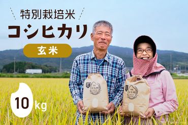 特別栽培米 コシヒカリ 玄米 10kg×1 [農家にしの 石川県 宝達志水町 38600600] 米 お米 ご飯 ごはん