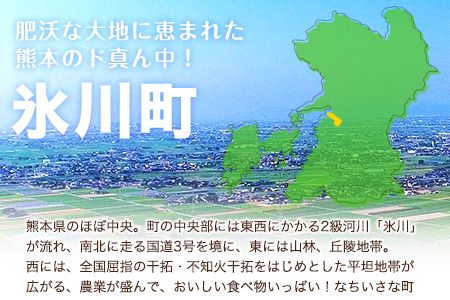 熊本県産 若鶏手羽元 約4kg 2kg×2P 《30日以内に順次出荷(土日祝除く)》---fn_ftoriteba_30d_23_10000_4kg---