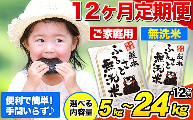 【12ヶ月定期便】無洗米 訳あり 熊本ふるさと無洗米 選べる内容量 5kg 10kg 15kg 20kg 《お申込み月の翌月から出荷開始》 熊本県産 無洗米 精米 御船町 計12回お届け 以上 米 コメ 無洗米 ヒノヒカリ 使用 訳あり おこめ お米 熊本 ふるさと無洗米---mf_mmsntei_10kg_234000_mo12---