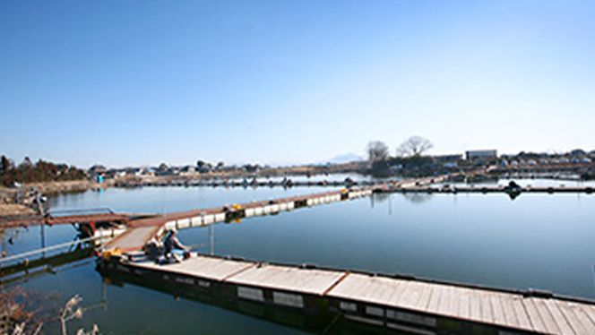 筑波流源湖　ヘラブナ釣り回数券（10枚綴り）　[AZ001ya]