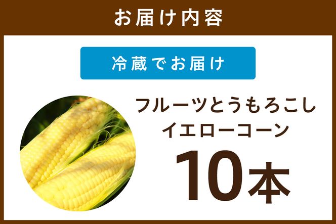 【先行予約】 生食も！高糖度！もぎたて！ フルーツトウモロコシ「イエローコーン」（2025年6月下旬～発送）　DE00126