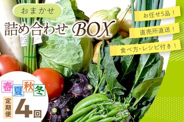 【定期便4回】直売所直送 「京都・京丹後産 季節の野菜」お任せ詰め合わせBOX（5品） 春夏秋冬定期便4回 食べ方・レシピ付き　JA00058