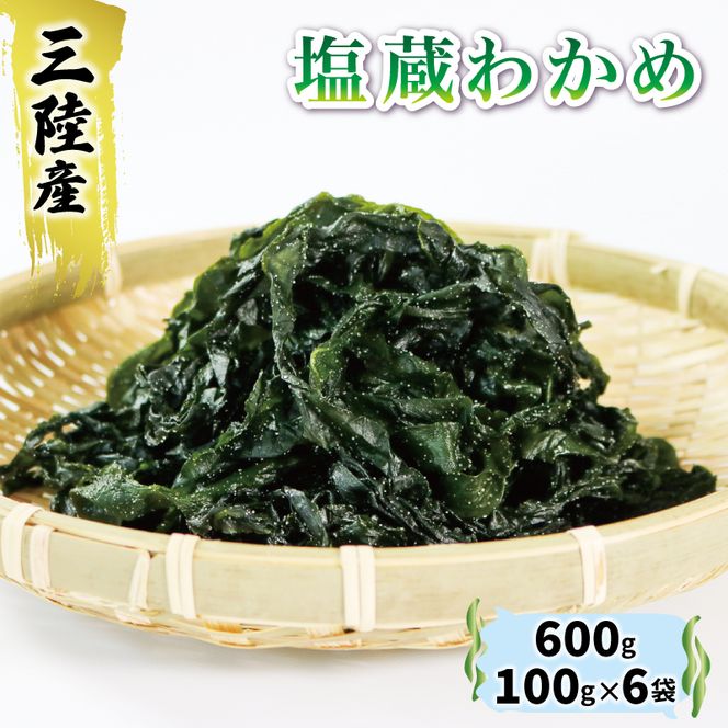 三陸わかめ 塩蔵わかめ 600g 100g×6袋 わかめ ワカメ 海藻 小分け わかめしゃぶしゃぶ 酢の物 1万円 10000円 [56500357_1]