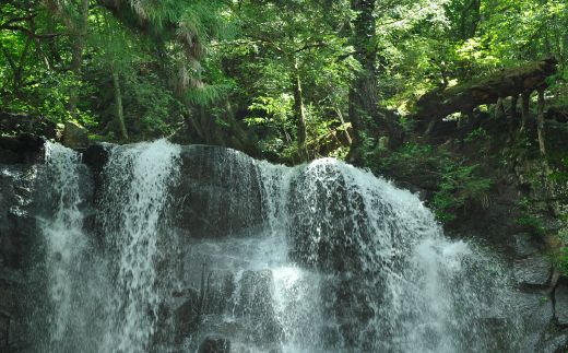 肌をうるおす 保湿スキンケアセット FAJ023