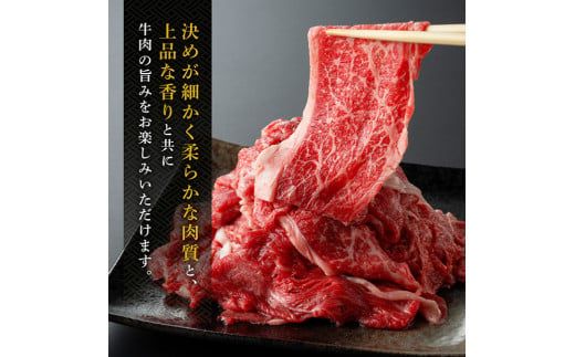宮崎県産黒毛和牛切り落とし600g 【 肉 牛肉 宮崎牛 牛 炒め物 2パック 日本ハム 】 [E11009]