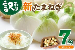 【訳あり】【先行予約／数量限定】産地直送 新たまねぎ（2024年5月下旬～発送）　7kg 7キロ 30～40玉 玉ねぎ タマネギ 玉葱 玉ネギ 訳あり 訳有り 規格外 不揃い ふぞろい 野菜 京野菜 京都産　 JA00063