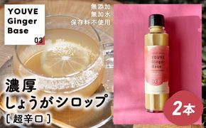 生姜好きさんにオススメ！ 濃厚 しょうがシロップ 2本セット【超辛口】国産 生姜シロップ 自家製 生姜 しょうが ショウガ ジンジャー シロップ アレンジ ドリンク 料理 調味料 高知 四万十 四万十市 しまんと 産地直送 25-758