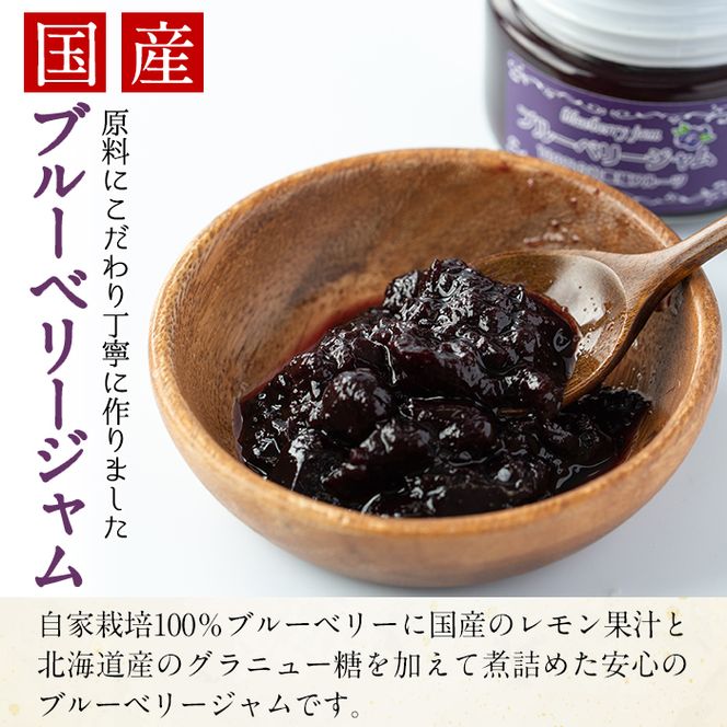 【12161】贅沢な国産ブルーベリージャム(100g×6個・計600g)ジャム 瓶 果物 果実 フルーツ パン【村山製油】