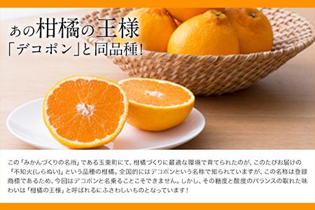 清田農園のご家庭用不知火10玉-16玉(L-2Lサイズ) あのデコポンと同品種 熊本県玉名郡玉東町《3月上旬-3月末頃出荷》---sg_kytsrn_ac3_24_12000_10p---