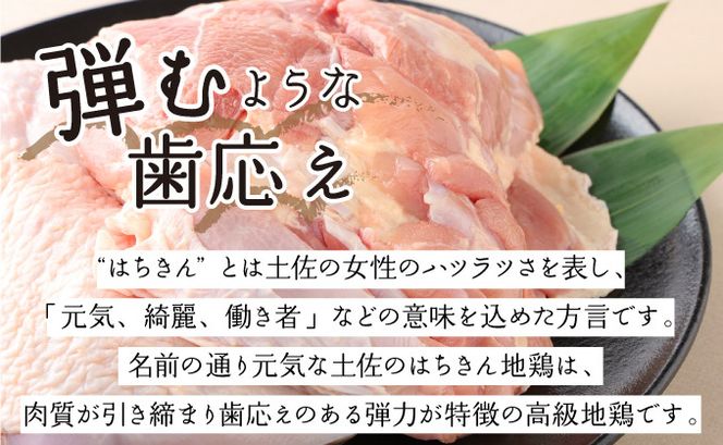 土佐はちきん地鶏の鶏しゃぶ＆鶏鍋堪能セット　ag010