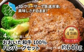 【A05051】3Dフリーザーで急速冷凍。美味しさそのまま！　4つの味が楽しめる　おおいた和牛100%ハンバーグセット　4個約640ｇ