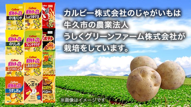 カルビー 湖池屋 人気 24種 詰め合わせ お楽しみ スナック菓子 セット カルビー 湖池屋 ポテトチップス ポテチ お菓子 おかし 大量 スナック おつまみ ジャガイモ じゃがいも まとめ買い Calbee ポテト おまかせ 数量限定 [DA006us]