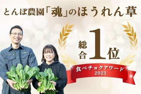 ほうれん草 約1kg（150g x 7袋）【ハウス栽培 産地直送 クール便 佐賀県脊振山麓産】(H091113)