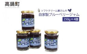 ＜ソフトクリーム屋さんの自家製ブルーベリージャム250g×4＞2か月以内に順次出荷【c491_sn_x2】 ジャム ブルーベリー 4個