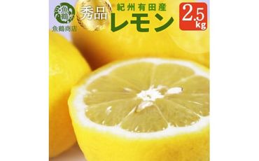 秀品　紀州有田産レモン　2.5kg【2025年3月上旬以降発送】【先行予約】【UT45】XF91085
