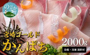 宮崎産 新海屋 鰤屋金太郎 宮崎ゴールドカンパチ 2000g　冷凍 N018-YZC709_2