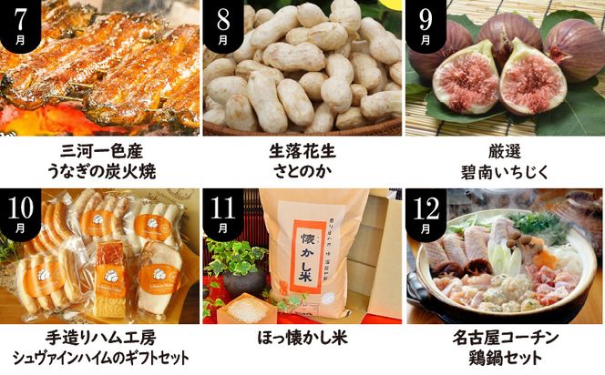 定期便 12回 厳選 肉 魚 野菜 フルーツ すべて 詰まった 旬 全12回 12ヶ月 いちご いちじく カレー トマト うなぎ しらす ベーグル 甘栗 ナッツ 生落花生 米 ハム 鶏 鍋セット お届け グルメ お取り寄せ お取り寄せグルメ 愛知県 碧南市 送料無料 H028-078