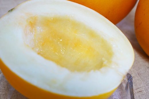 【2026年発送】完熟！イエローキングメロン 4kg以上（4玉入り） フルーツ 果物 甘い　H141-018