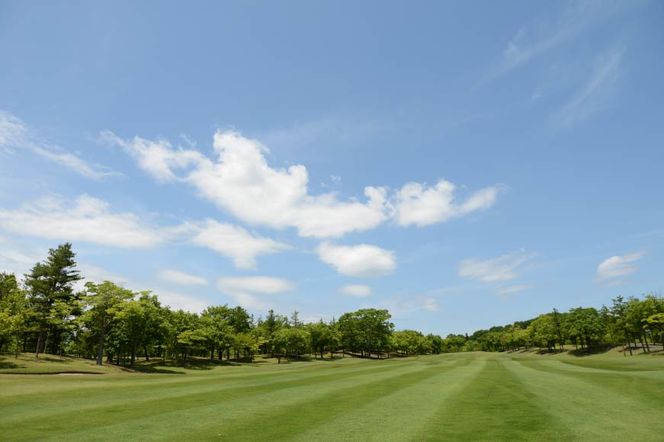 森林公園ゴルフ倶楽部 施設利用補助券 [森林公園ゴルフ倶楽部 埼玉県 小川町 193] スポーツ ゴルフ ごるふ ゴルフ場 施設利用補助券 施設利用券 チケット ゴルフプレー券 ゴルフ場利用券 体験チケット