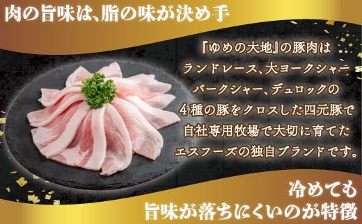 【平取町産四元豚】ゆめの大地豚肉切落し（ﾓﾓ・ｳﾃﾞこま肉）200g×22パック計4.4ｋｇ ふるさと納税 人気 おすすめ ランキング 豚肉 肉 豚肉切り落とし 北海道 平取町 送料無料 BRTD003