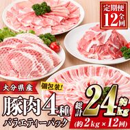 ＜定期便・全12回 (連続)＞豚肉 バラエティーパック (総量24kg・4種) 小分け 豚バラ スライス とんかつ ロース 豚こま しゃぶしゃぶ 鍋 大分県 佐伯市【BD210】【西日本畜産 (株)】