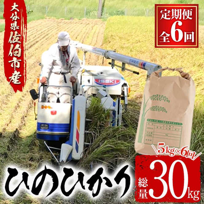 ＜令和6年産・新米＞＜定期便・6回 (連続)＞大分ひのひかり (総量30kg・5kg×6ヶ月) 米 定期便 6ヶ月 ひのひかり ヒノヒカリ 精米 白米 大分県産【AJ82】【(有)ケーキ大使館クアンカ・ドーネ】